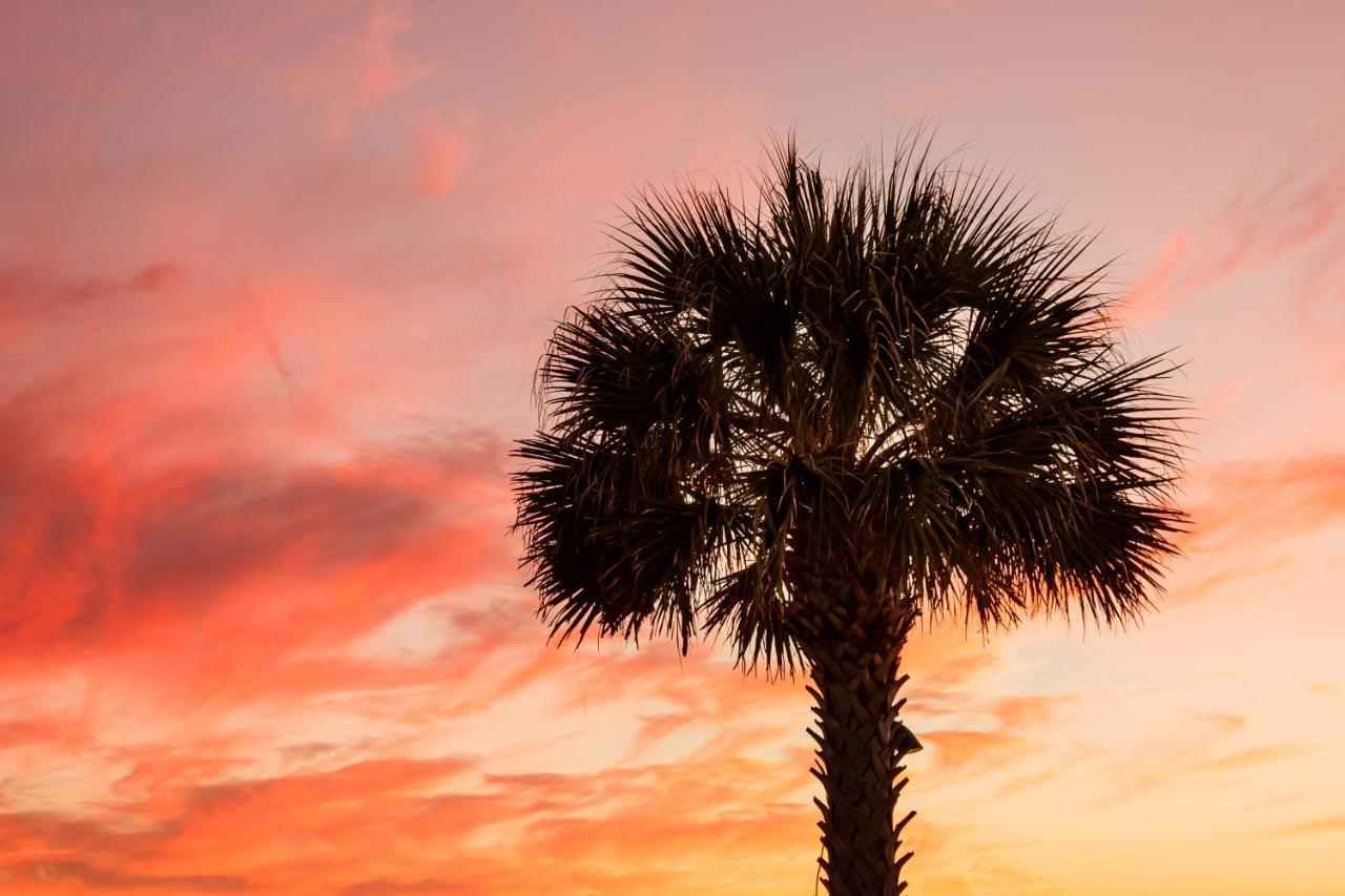 1314 Pelican Watch - Seabrook Island - Beachfront 5 Star Condo - Fido Friendly エクステリア 写真